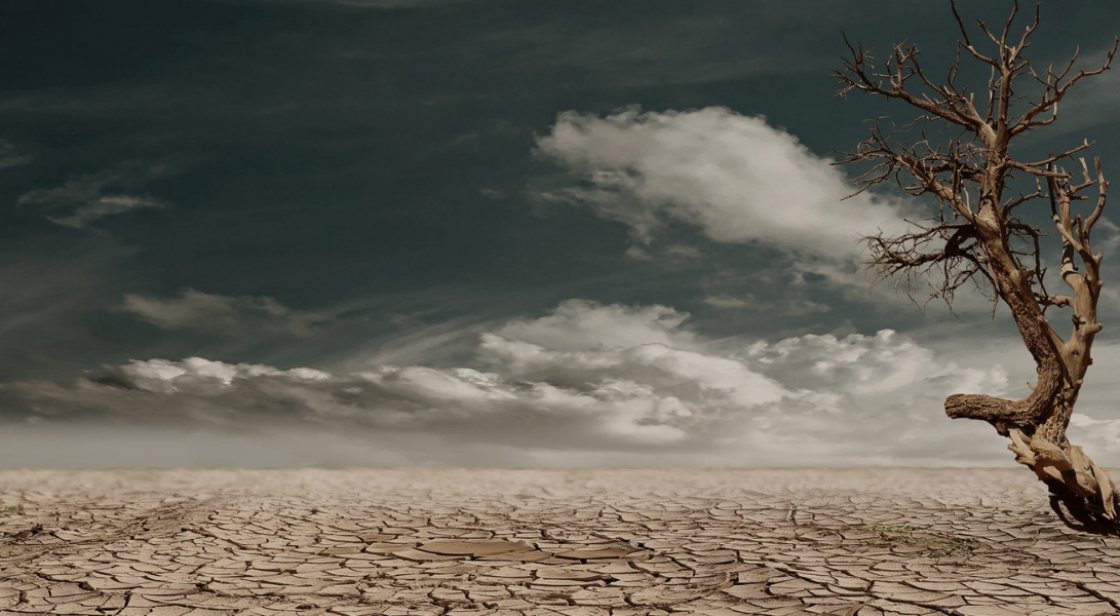 Cambio Climático: 5 acciones que puedes hacer para frenarlo