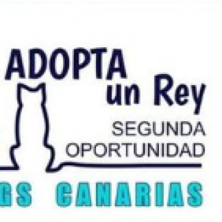 SEGUNDA OPORTUNIDAD ANIMAL CANARIA. ADOPTA UN REY.