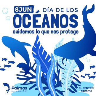 7 Maneras de cuidar nuestro océano
