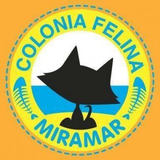 PROTECTORA COLONIA FELINA MIRAMAR
