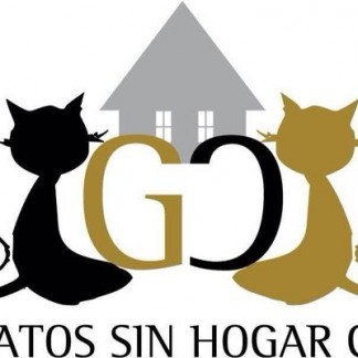 GATOS SIN HOGAR GC