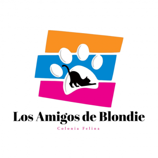 COLONIA FELINA LOS AMIGOS DE BLONDIE