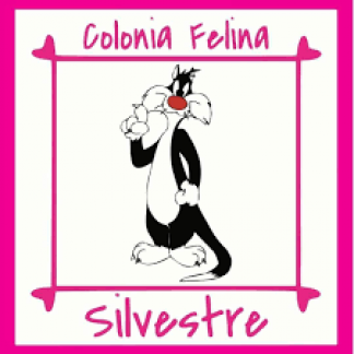 PROTECTORA DE ANIMALES COLONIA FELINA SILVESTRE