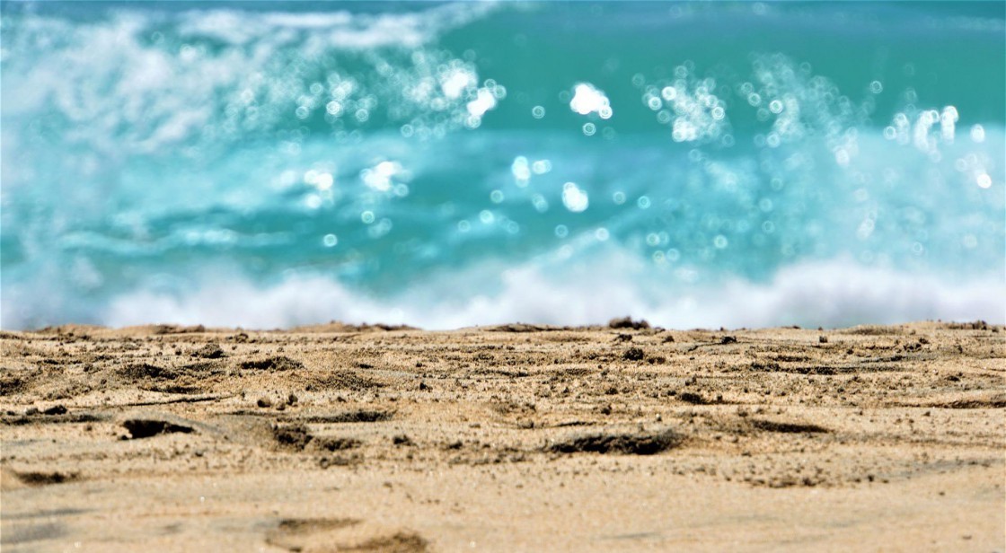 ¿Lo tienes todo para ir a la playa?