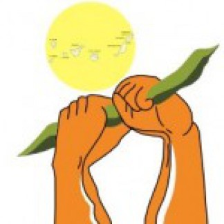 ASOCIACIÓN DE ENFERMOS DE CROHN Y COLITIS ULCEROSA (ACCU CANARIAS)
