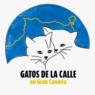 GATOS DE LA CALLE EN GRAN CANARIA