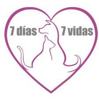 PROTECTORA DE ANIMALES 7 DÍAS POR 7 VIDAS